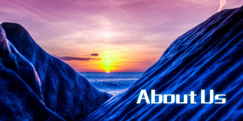 公司简介 公司简介